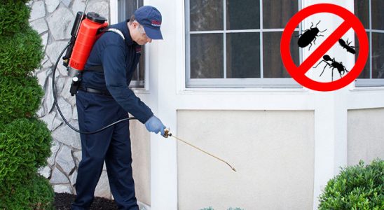 Köprübaşı Akrep İlaçlama böcek ilaçlama ve haşere kontrolü — ilaclama-tr.com